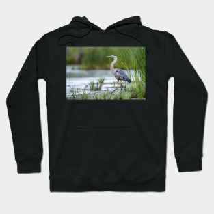 Blue Heron Hoodie